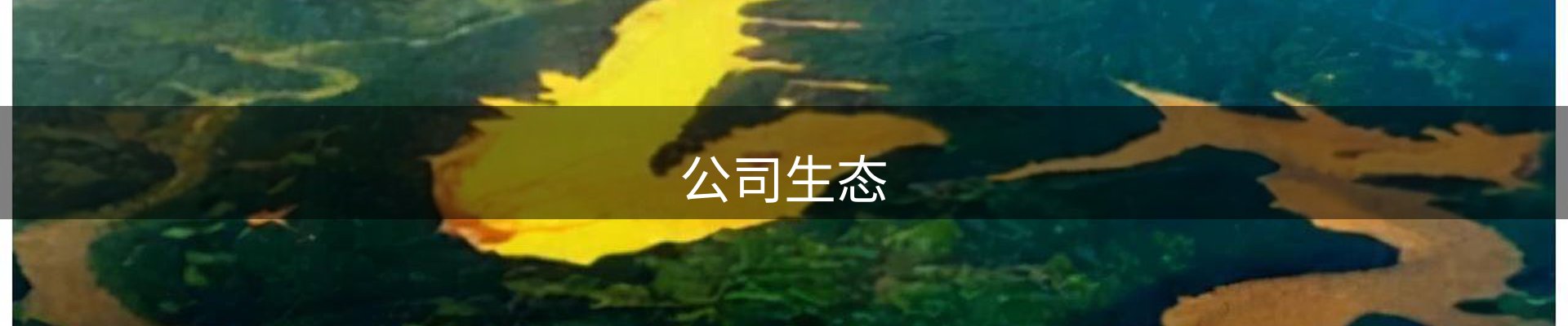 内页banner